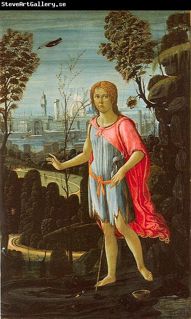 JACOPO del SELLAIO Saint John the Baptist